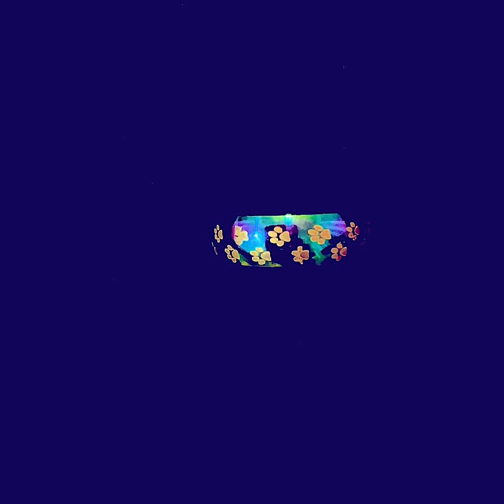 πΎ Rainbow Band with Puppy Paw Prints πΎ - NWOT - Picture 1 of 3
